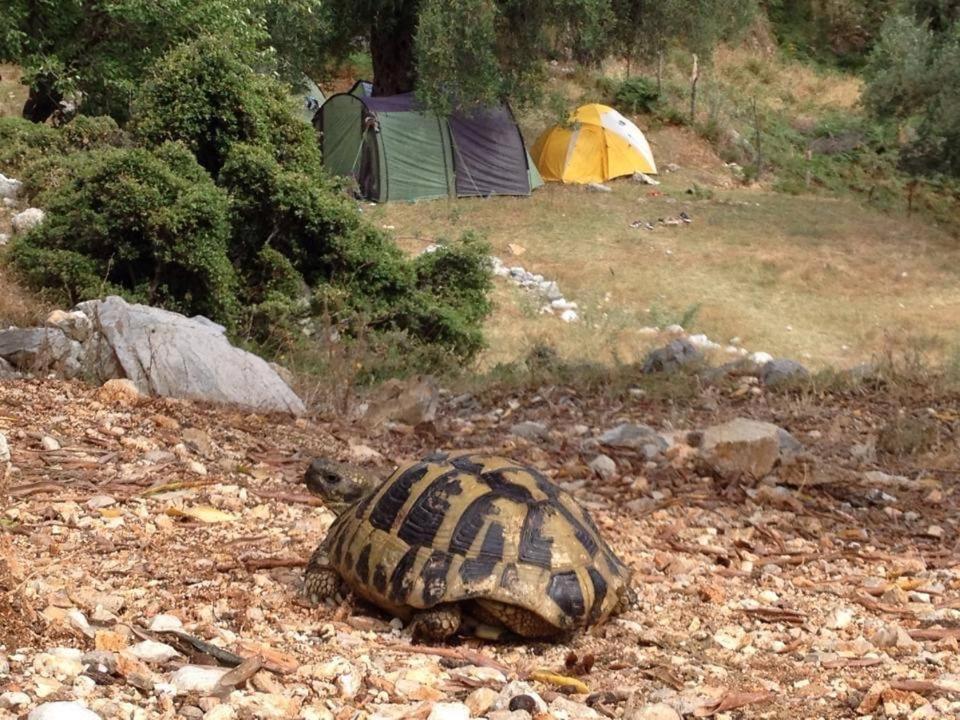 Shkolla Hostel & Camping Vuno Exterior foto